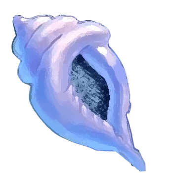 conch